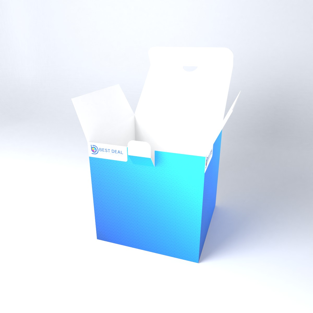 BD Print Solutions