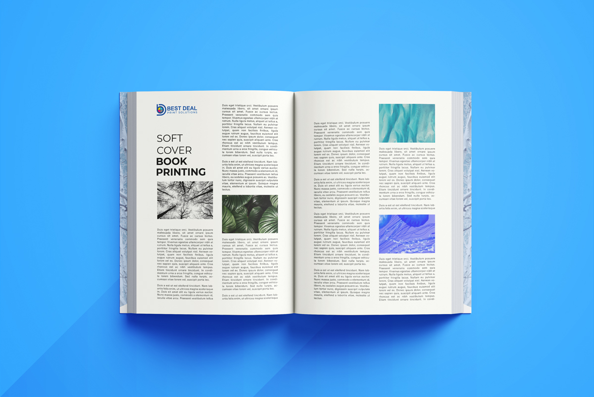 BD Print Solutions